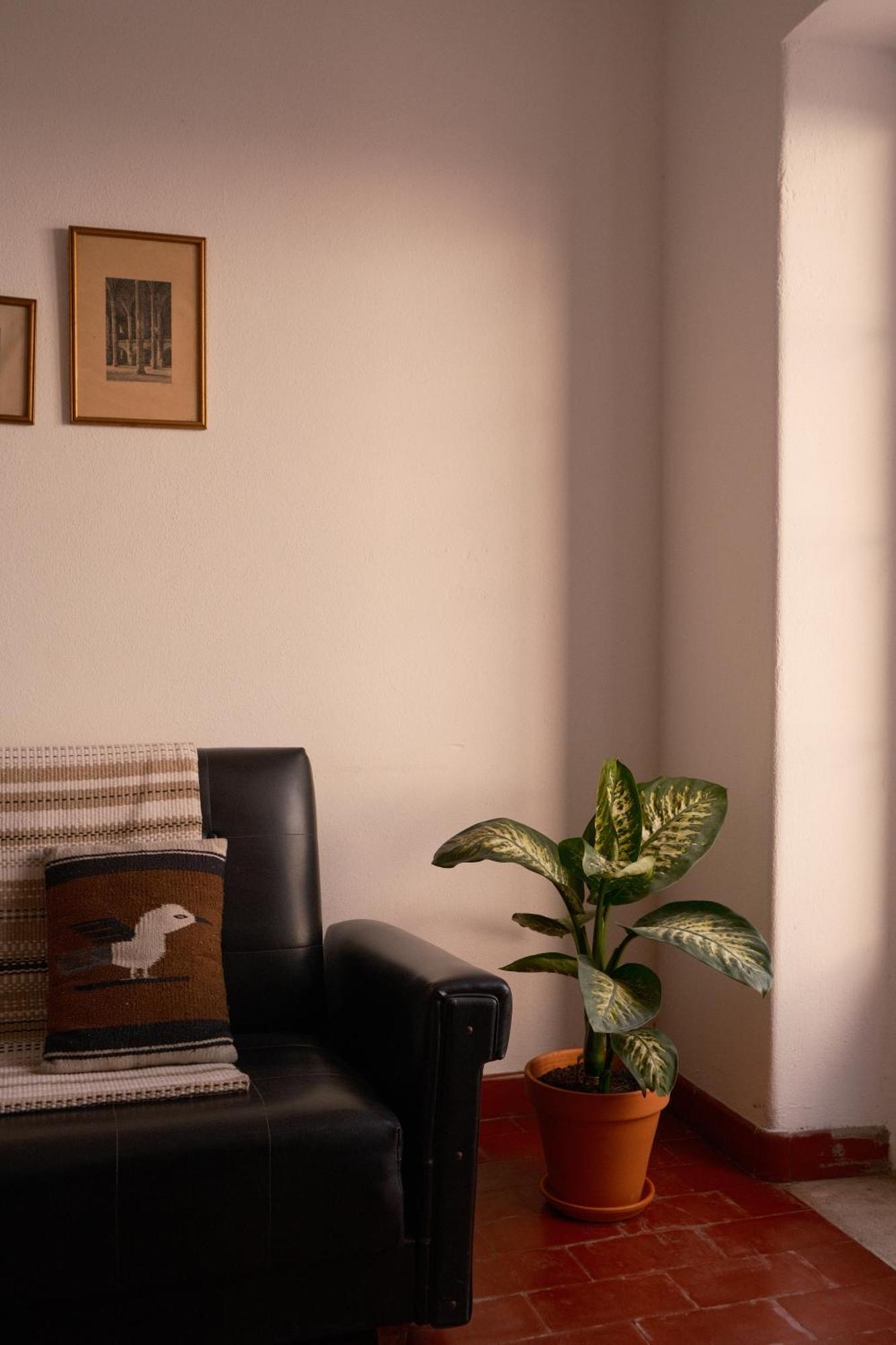 Manas Coliving Lägenhet Sines Exteriör bild